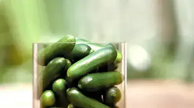 מלפפוני בייבי בתערוכת אגריטך מלפפוני בייבי בתערוכת אגריטך