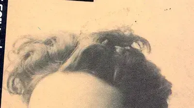 אלכסנדר פן אלכסנדר פן
