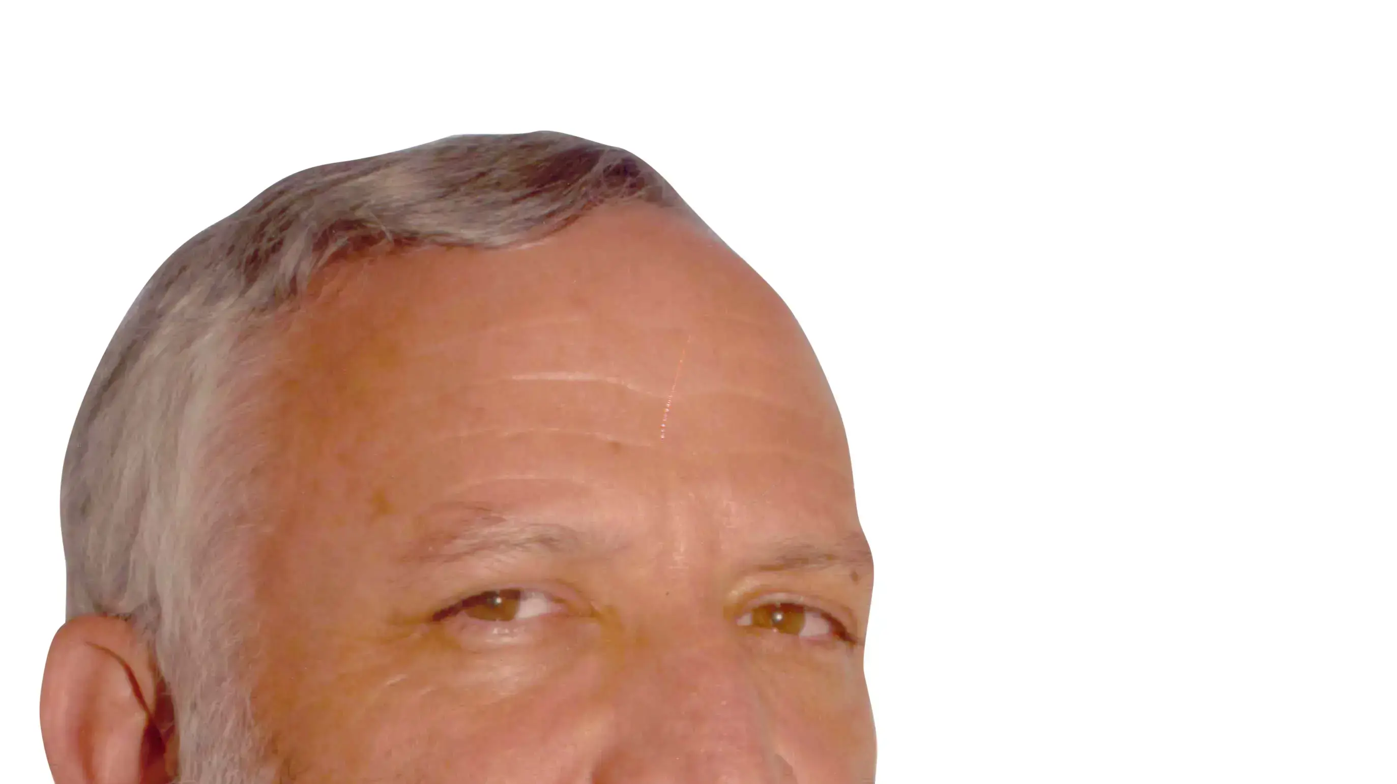 ראש מרכז מורשת בגין ראש מרכז מורשת בגין