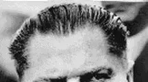 גימי הופפה jimmy hoffa גימי הופפה jimmy hoffa