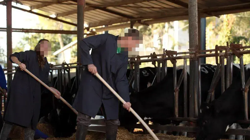 כפר הנוער ויצ"ו נחלת יהודה ראשון לציון כפר הנוער ויצ"ו נחלת יהודה ראשון לציון