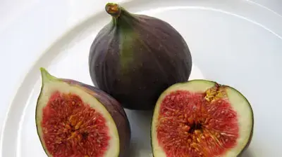 תאנים טריות תאנים טריות
