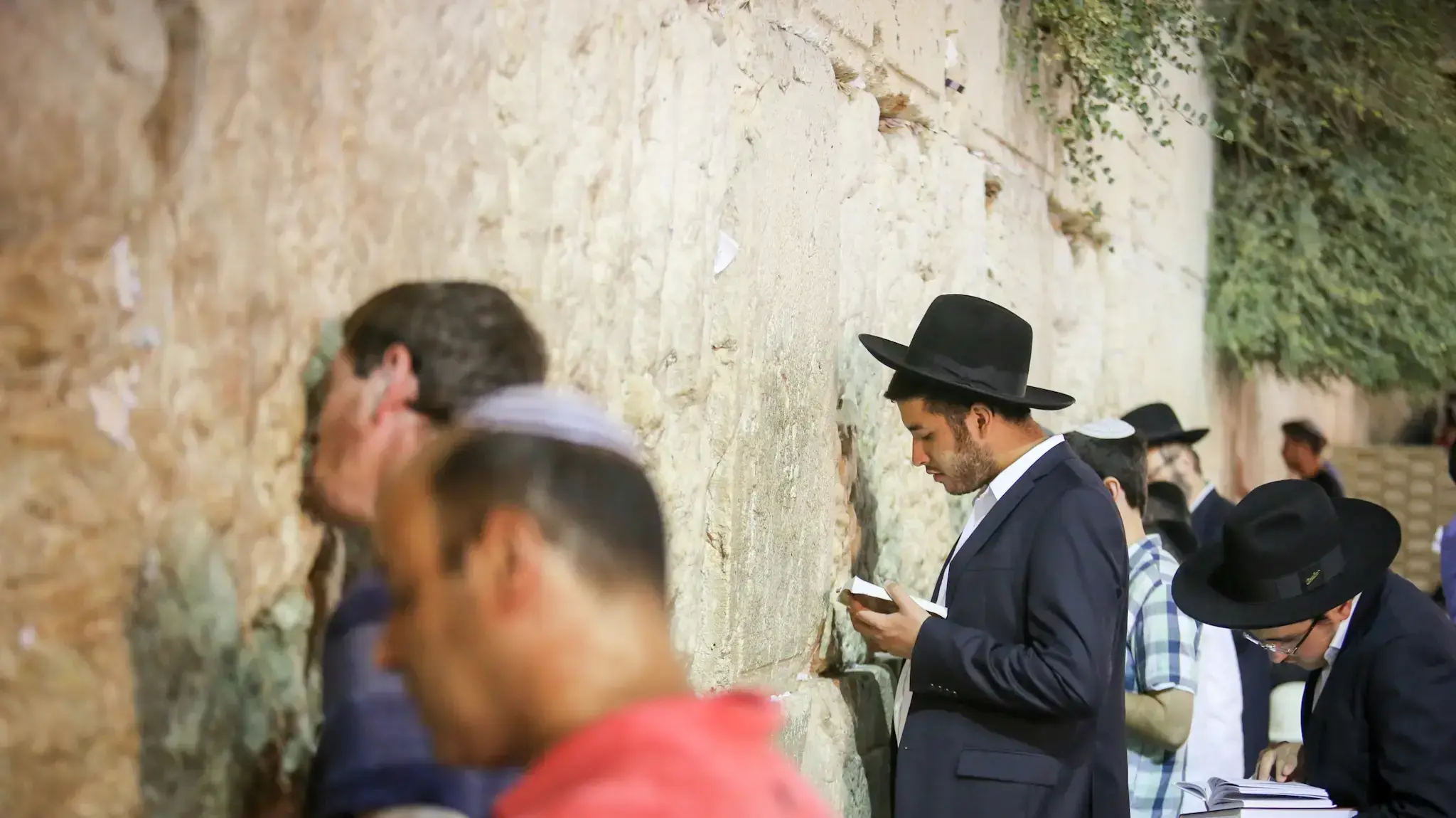 מתפללים בכותל המערבי ב-ט' באב, ירושלים, 13 באוגוסט 2016 מתפללים בכותל המערבי ב-ט' באב, ירושלים, 13 באוגוסט 2016