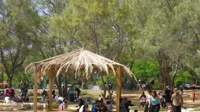 פארק אשכול פארק אשכול