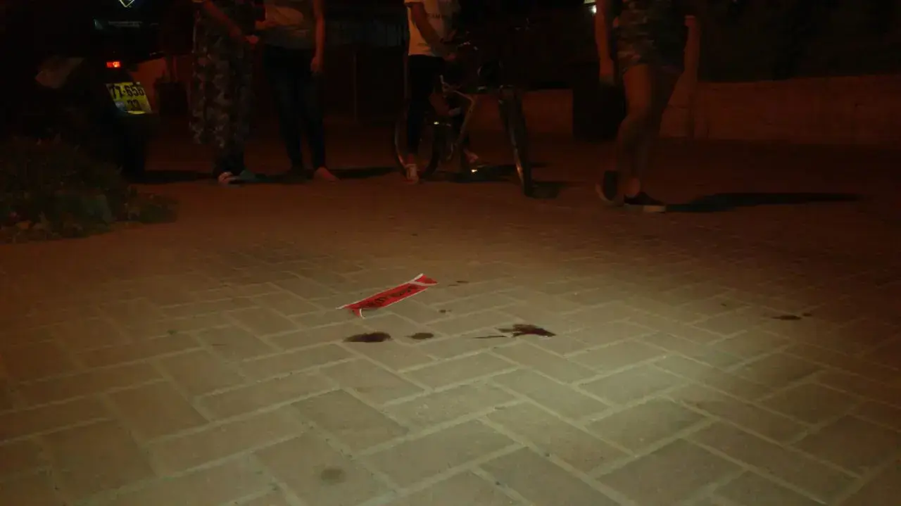 פקח ירה בתושבת באר שבע משום שסירבה לתת לו להרדים את הטווס שלה, 5 בספטמבר 2016 פקח ירה בתושבת באר שבע משום שסירבה לתת לו להרדים את הטווס שלה, 5 בספטמבר 2016