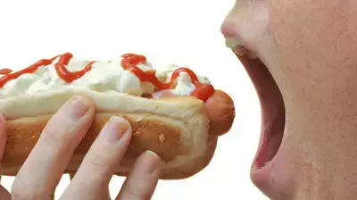 נקניקייה בלחמנייה נקניקייה בלחמנייה