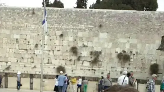 יומן שארך שלוש שנים וחצי יומן שארך שלוש שנים וחצי