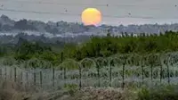 גדר הבטחון גדר הבטחון