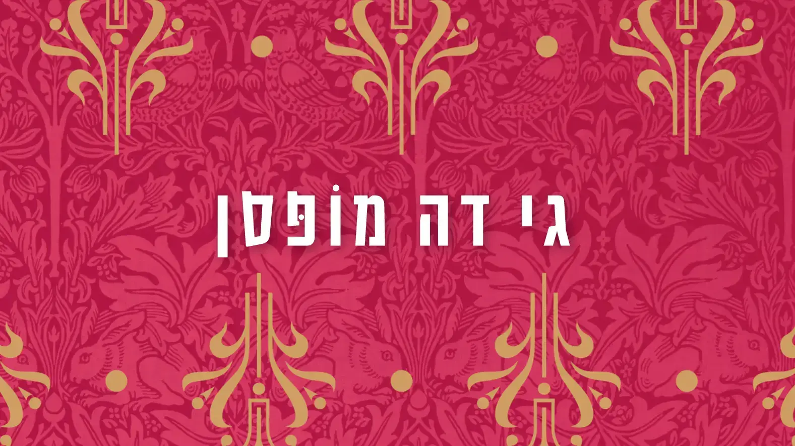 כריכת יופי שאין לו תכלית