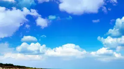 חוף חוף