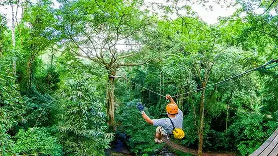 אומגה בחברת Flight of the Gibbon בצ'יאנג מאי, תאילנד אומגה בחברת Flight of the Gibbon בצ'יאנג מאי, תאילנד