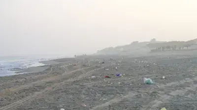 חוף במרכז הארץ רונן אלקלעי חוף במרכז הארץ רונן אלקלעי
