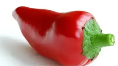פלפל צילי חריף פלפל צילי חריף
