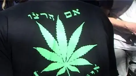 יום המריחואנה הבינלאומי - פארק הירקון תל אביב יום המריחואנה הבינלאומי - פארק הירקון תל אביב