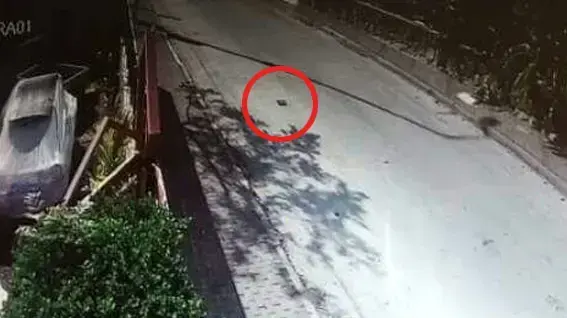 הטאבלט האבוד של ח"כ יפעת שאשא-ביטון על הכביש ליד ביתה הטאבלט האבוד של ח"כ יפעת שאשא-ביטון על הכביש ליד ביתה