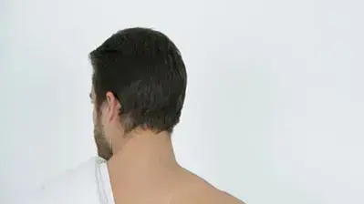 אילוסטרציה אילוסטרציה