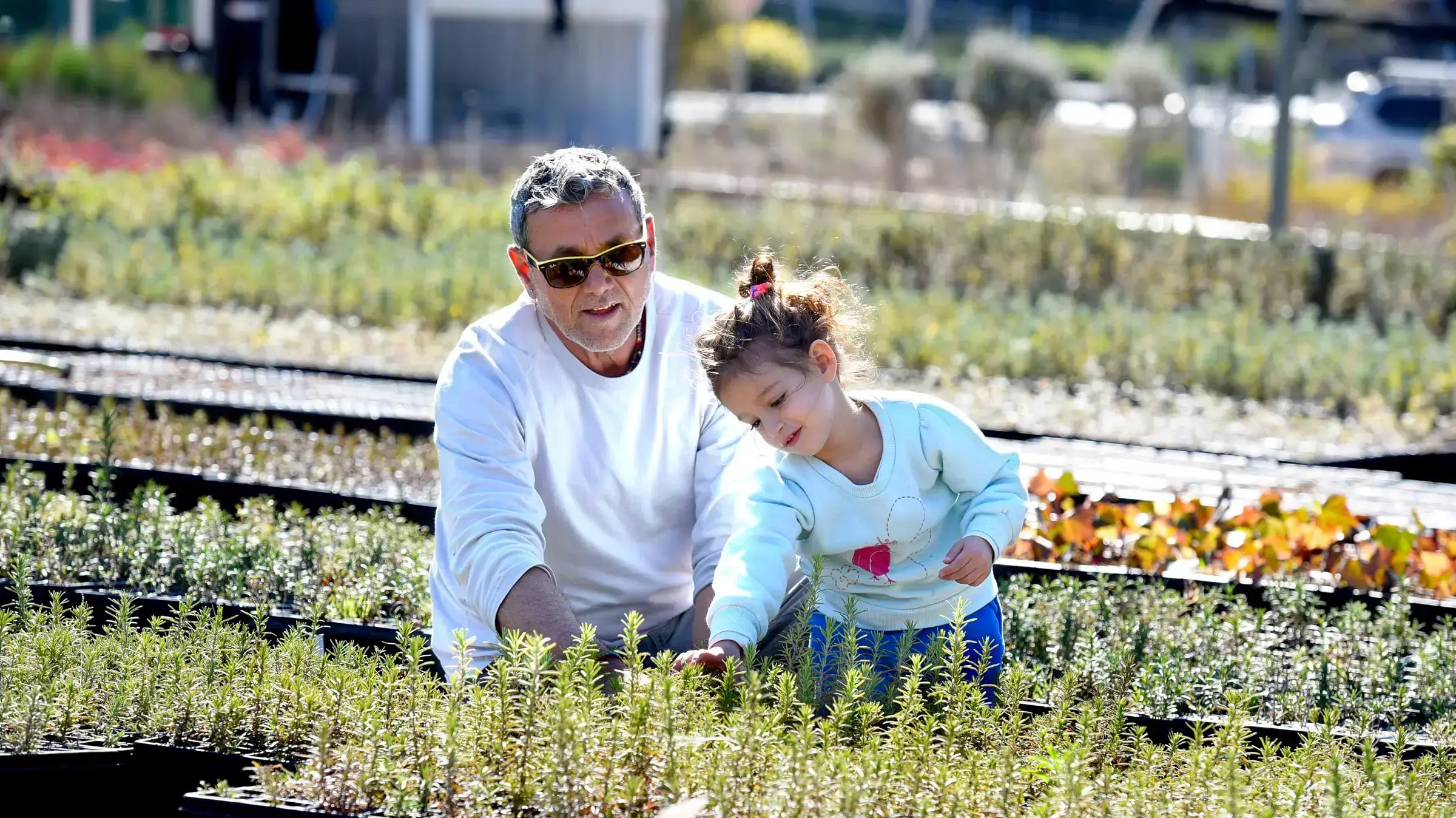 משתלת אשתאול. פברואר 2017