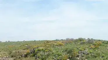מים ברמת הגולן מים ברמת הגולן