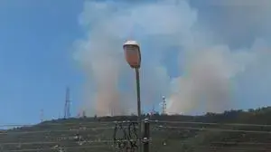 תמונות גולשים 46