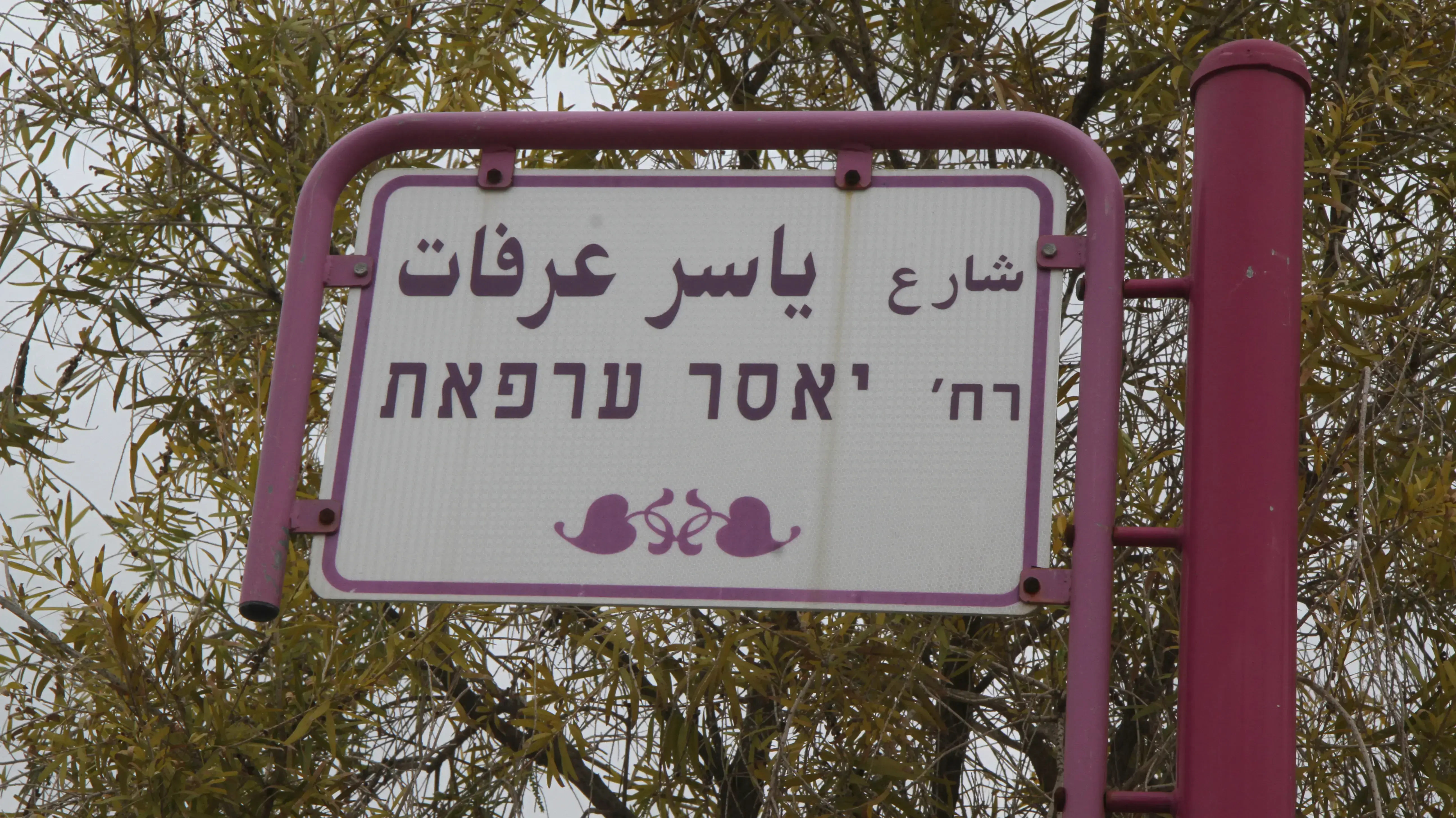 רחוב יאסר ערפאת, ג'ת, מרץ 2017 רחוב יאסר ערפאת, ג'ת, מרץ 2017