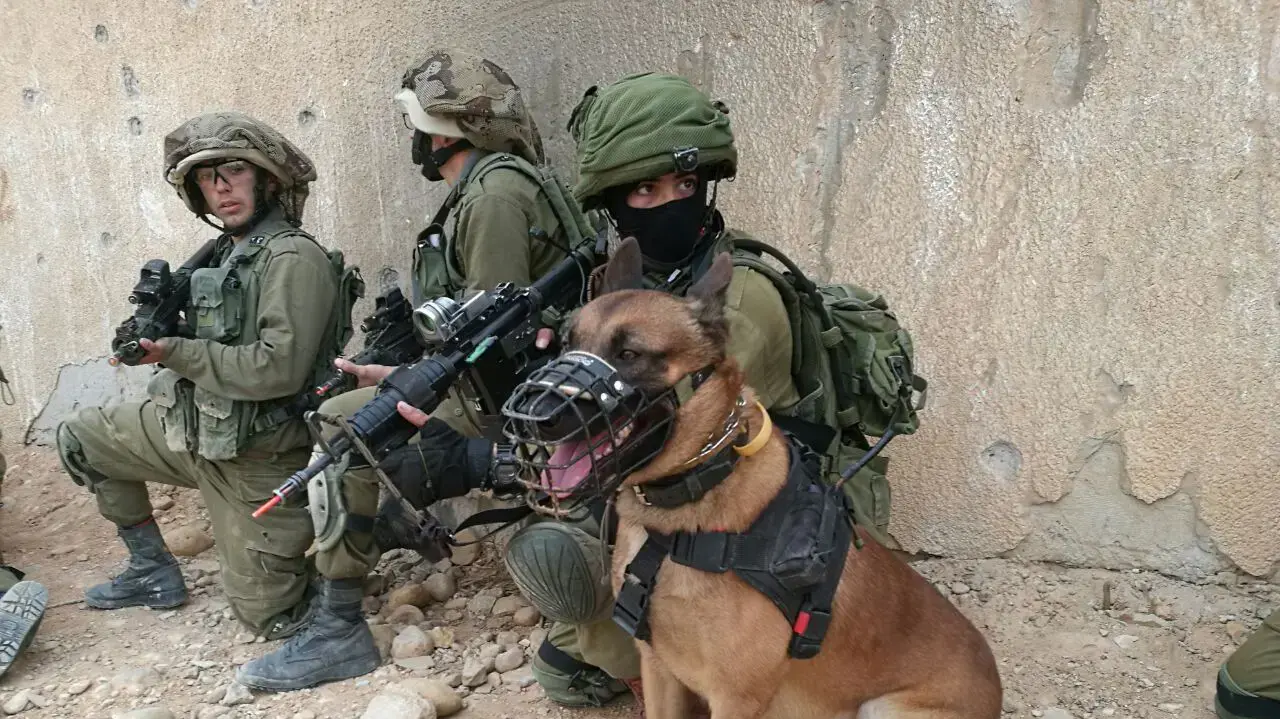 אימון לוחמי גבעתי על כיבוש מתחם של חמאס מעל מנהרות, מרץ 2017 אימון לוחמי גבעתי על כיבוש מתחם של חמאס מעל מנהרות, מרץ 2017
