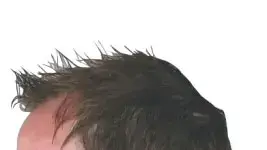 indicators (אתר חנות) indicators (אתר חנות)