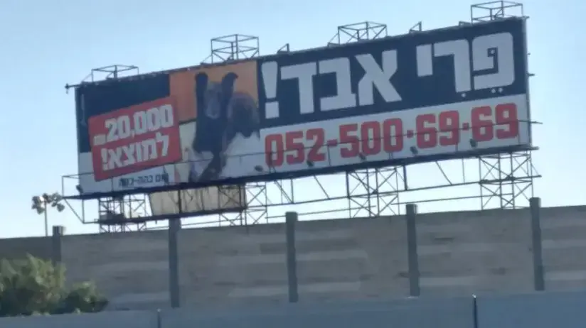 הכלב האבוד פרי, 19 באפריל 2017 הכלב האבוד פרי, 19 באפריל 2017