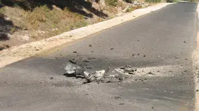 נפילות בכביד הסמוך ליער בירייה (יאיר בן צבי)