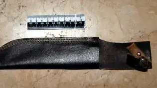 הסכין שאתו נרצחה עוד פלינר ( משטרת תל אביב ) הסכין שאתו נרצחה עוד פלינר ( משטרת תל אביב )