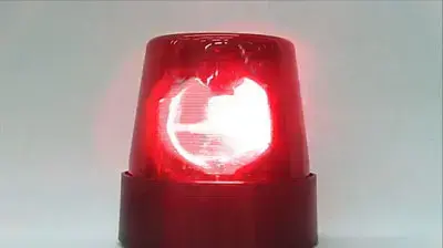 מיה שינדלר צקלקה מיה שינדלר צקלקה