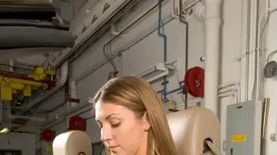 חגורת בטיחות חדשה בפורד 4 נקודות עיגון חגורת בטיחות חדשה בפורד 4 נקודות עיגון