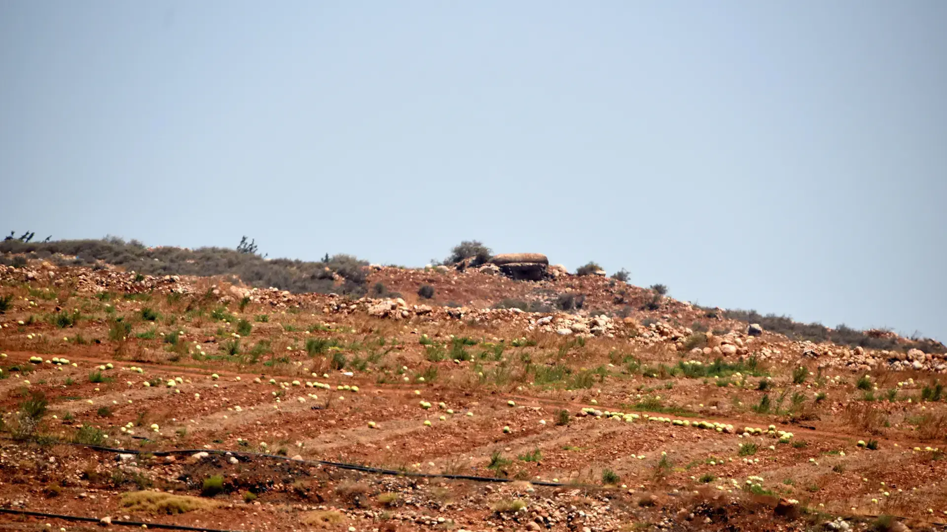 עמדת תצפית של חיזבאללה בגבול לבנון עמדת תצפית של חיזבאללה בגבול לבנון