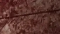 פיגוע בחלמיש