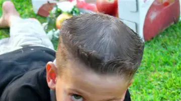 תפוחים מהצפון תפוחים מהצפון
