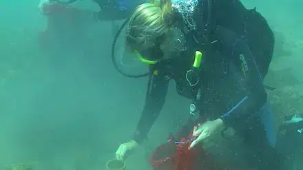 (גיא אילון) צוללנים אוספים זבל באילת (גיא אילון) צוללנים אוספים זבל באילת