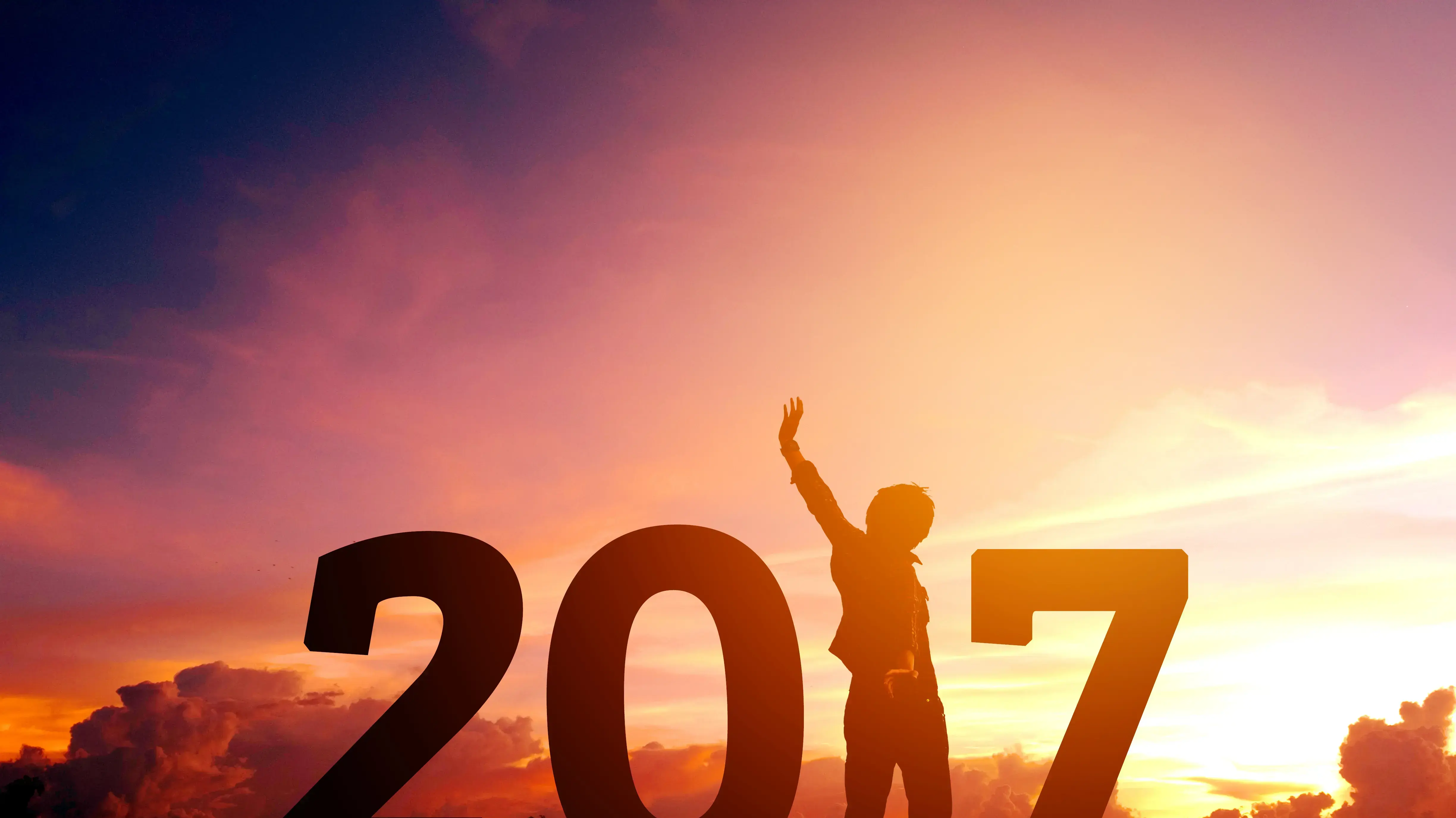 שנת 2017 שנת 2017