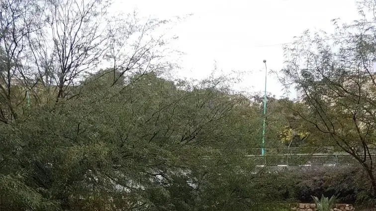 סערה בבאר שבע. 6 בינואר 2018 סערה בבאר שבע. 6 בינואר 2018