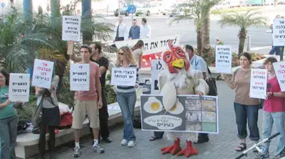 פעילי אנונימוס מפגינים נגד התעללות בתרנגולות פעילי אנונימוס מפגינים נגד התעללות בתרנגולות