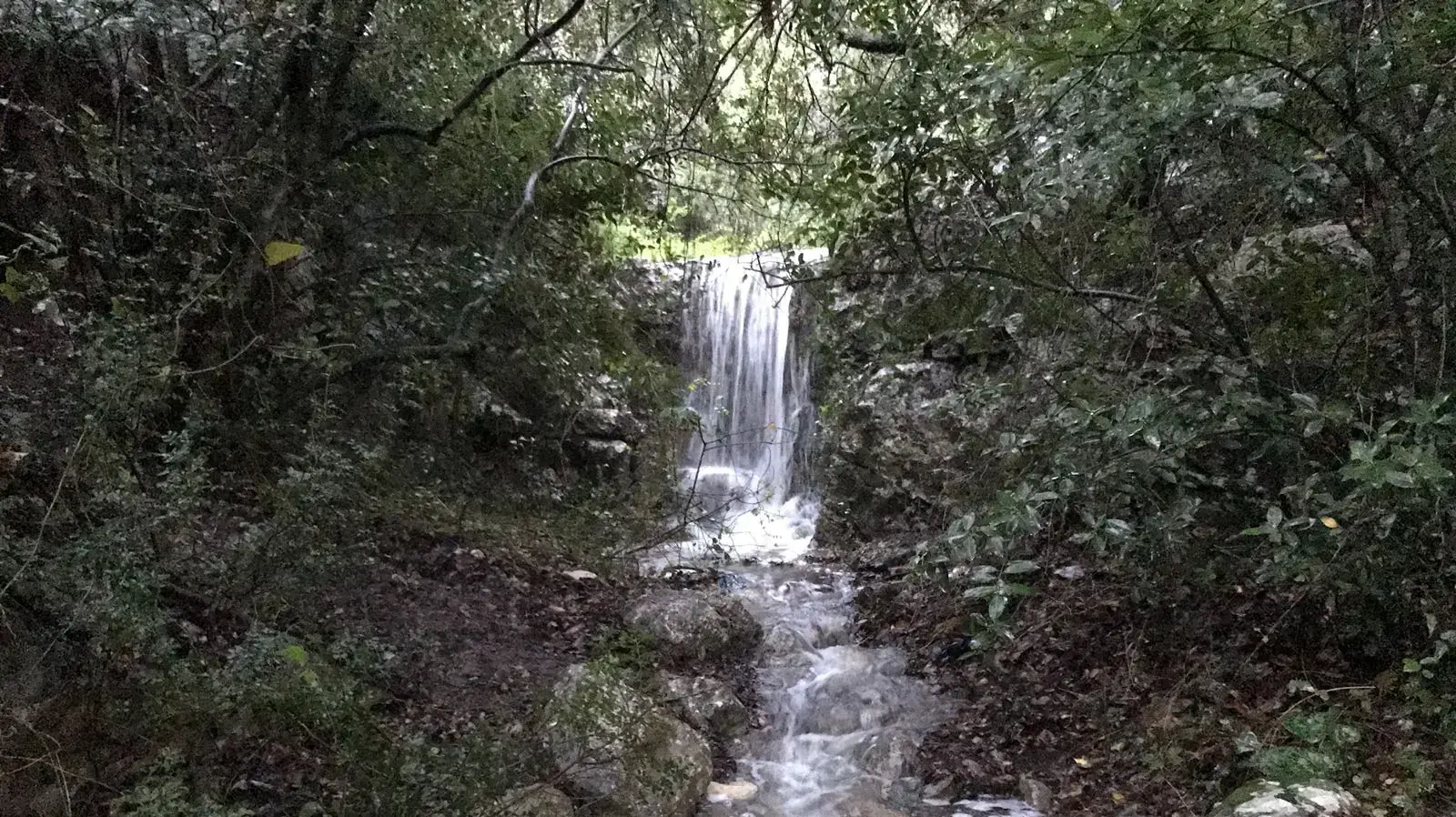 הכרמל. נחל אורן ויובליו הכרמל. נחל אורן ויובליו