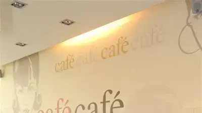 רשת קפה קפה רשת קפה קפה