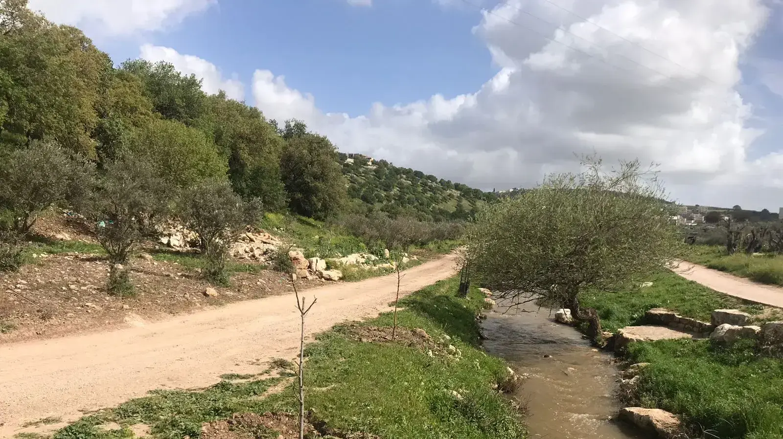מזג אוויר קייצי מזג אוויר קייצי