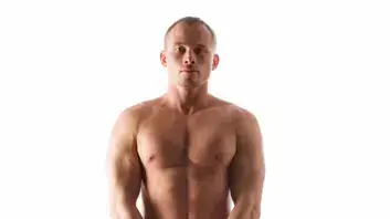 אילוסטרציה אילוסטרציה