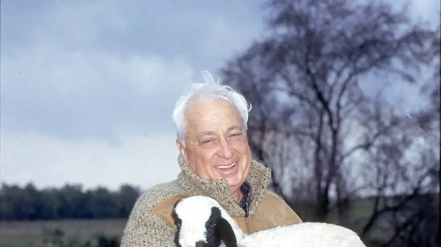 20
