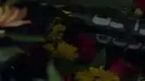 החלל שהותרתי