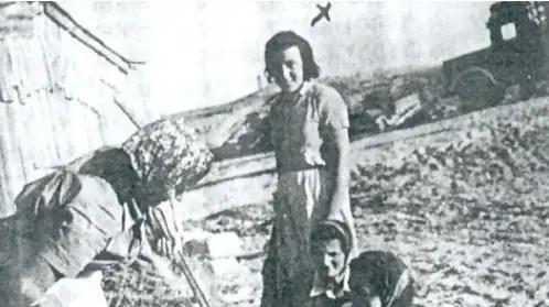 ליבקה שפר ליבקה שפר