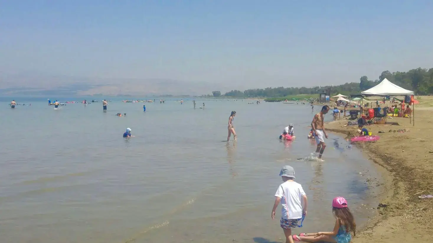 רוחצים בחופי הכנרת, 9 ביוני 2018 רוחצים בחופי הכנרת, 9 ביוני 2018