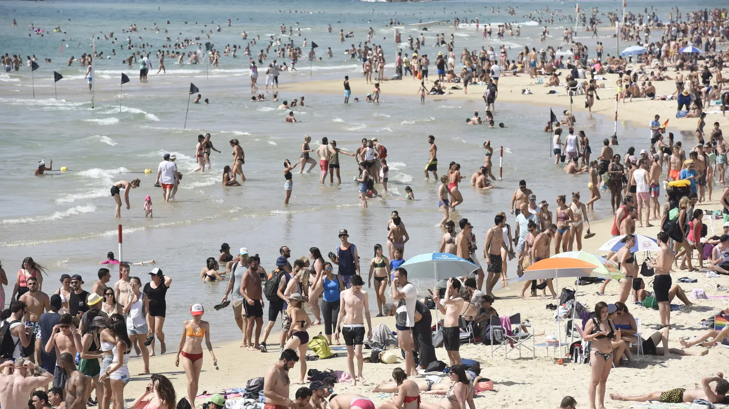 נופשים פוקדים את אחד מחופי הים בתל אביב 8 ביוני 2018
נופשים פוקדים את אחד מחופי הים בתל אביב 8 ביוני 2018