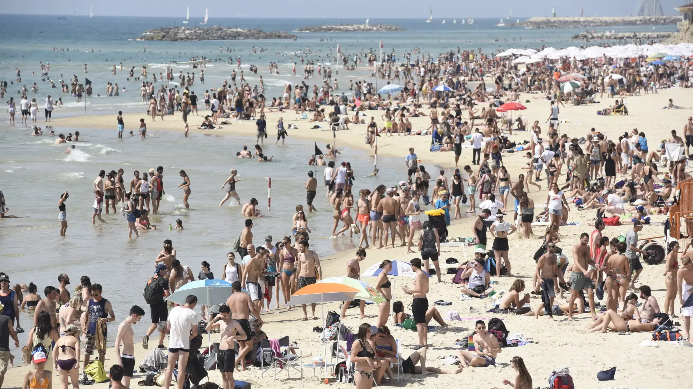 נופשים פוקדים את אחד מחופי הים בתל אביב 8 ביוני 2018
נופשים פוקדים את אחד מחופי הים בתל אביב 8 ביוני 2018