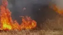 סיקור מיוחד טרור עפיפוני התבערה