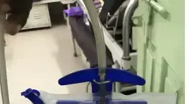 שקית השתן הסגול של החולה ההודי שקית השתן הסגול של החולה ההודי